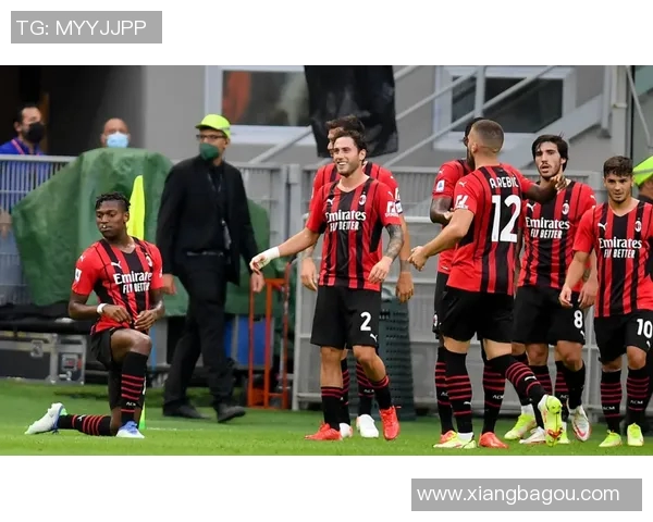 几内亚与米比亚的精彩对决分析及比赛前瞻展望